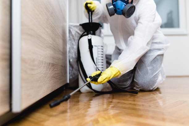 Best Wildlife Control Services  in Wright, FL